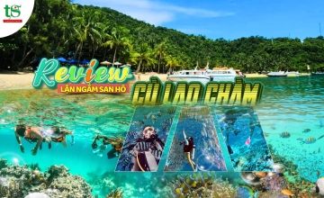 Lặn Ngắm San Hô Cù Lao Chàm 2026: Review Thực Tế & Kinh Nghiệm Chi Tiết