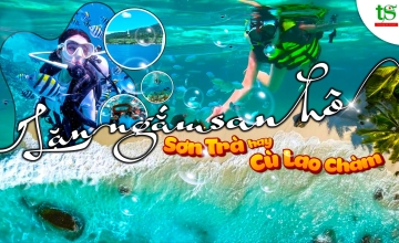 Sơn Trà Hay Cù Lao Chàm? Lặn Ngắm San Hô Ở Đâu Đẹp Hơn?