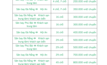 Cho thuê xe du lịch phục vụ đón trả sân bay Đà Nẵng