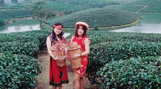 Đồi Chè Thanh Chương, Điểm Du Lịch Mới Nổi Của Giới Trẻ