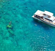 Tour lặn ngắm san hô sinh vật biển Cù Lao Chàm bằng tàu hai thân 