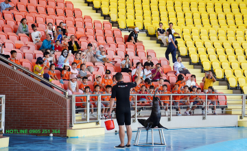 Đặt vé show diễn cá heo Dolphinarium thiên đường Cổ Cò Đà Nẵng 