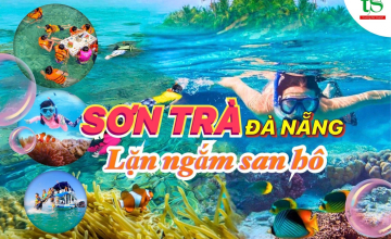 Combo lặn ngắm san hô Sơn Trà Giá chỉ 350.000Đ