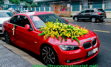 Thuê xe BMW Mui Trần cao cấp tại Đà Nẵng Thuê xe BMW Mui Trần cao cấp tại Đà Nẵng