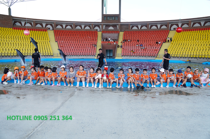 dat-ve-show-dien-ca-heo-dolphinarium-thien-duong-co-co-(3)