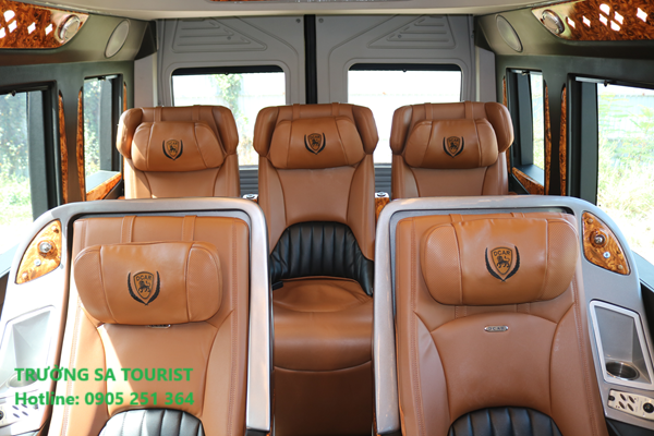 xe-limousine-da-nang-(2)